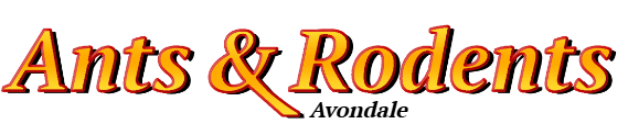Avondale Ant Exterminator & Rodent Control Company Logo